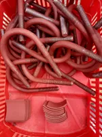 1770357969745-23548811-IMG_20200430_104631